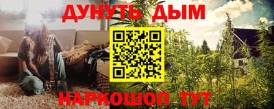 прущие грибы Лесосибирск
