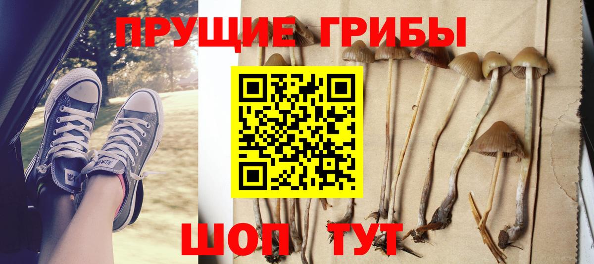 Псилоцибиновые грибы прущие грибы  Вход с VPN  что такое наркотик  Усть-Джегута 
